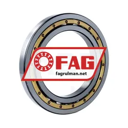 FAG 16021-MA-C3 rulman resim 2