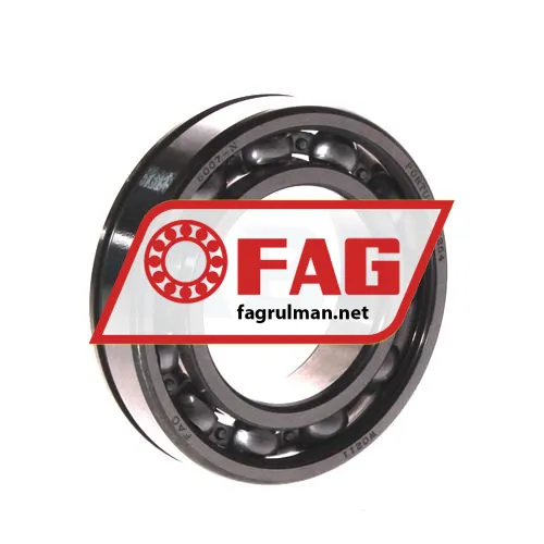 FAG 6004N