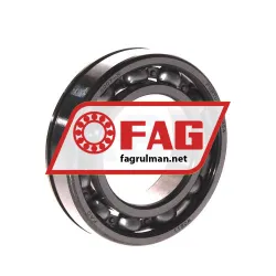 FAG 6004N