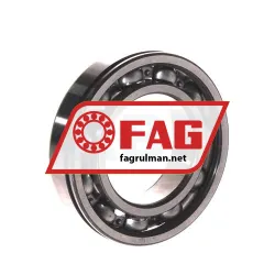 FAG 6004N rulman resim 3