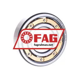 FAG 6310-C-M-C3
