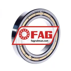 FAG 6019-M-C4