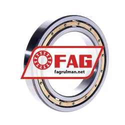 FAG 6019-M-C4 rulman resim 2