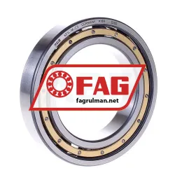 FAG 6014M-C3