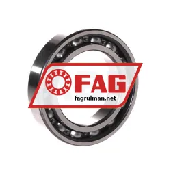 FAG 6010RSR rulman resim 2