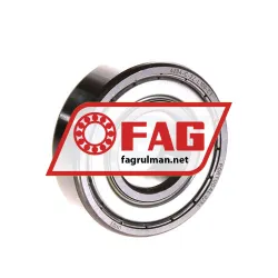FAG 6204-C-2Z-L100-C3