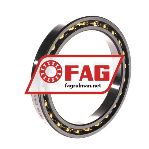 FAG 61813-Y