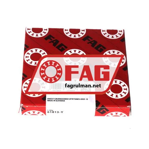 FAG 61813-Y ürün fotoğrafı 3