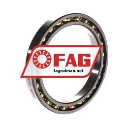 FAG 61813-Y