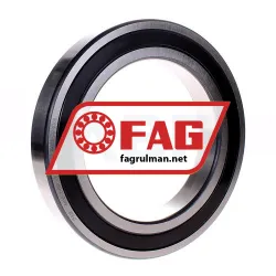 FAG 6030-2RSR