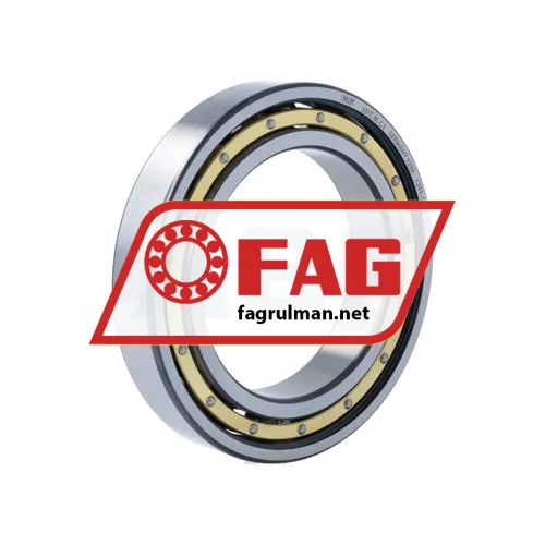 FAG 6017-M-C3