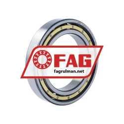 FAG 6017-M-C3