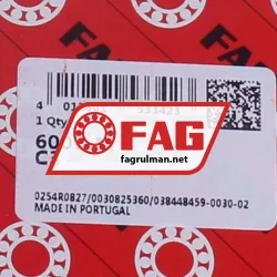 FAG 6007-M-C3 rulman resim 5