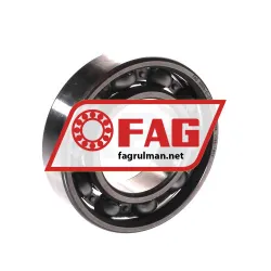 FAG 6005-C-C3