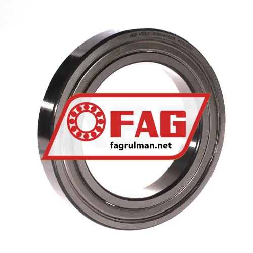 FAG 6020-Z