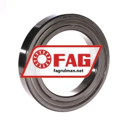 FAG 6020-Z