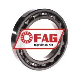 FAG 6020-Z rulman resim 2