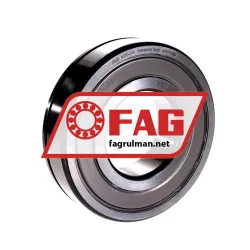 FAG 6313-Z-N