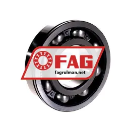 FAG 6313-Z-N rulman resim 3
