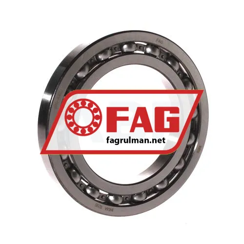 FAG 16014