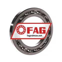 FAG 16014