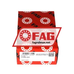FAG 61900-HLC rulman resim 3