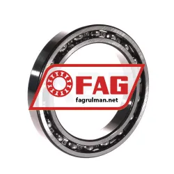 FAG 61915
