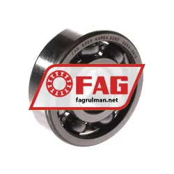 FAG 6303