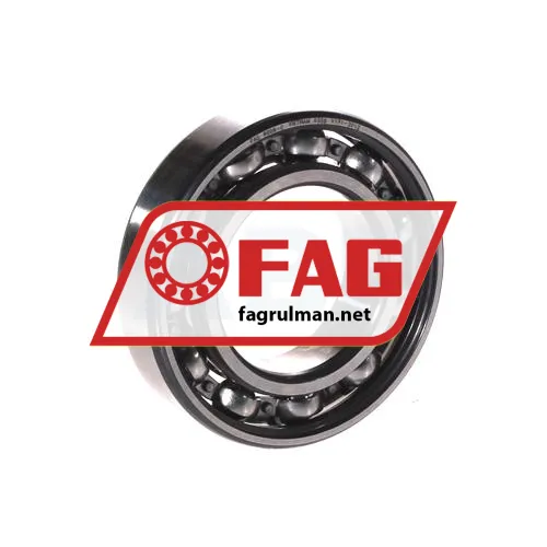 FAG 6006-C>V