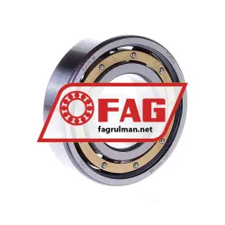FAG 6206M