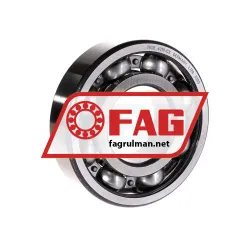 FAG 6310-C3