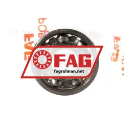 FAG 6000-C3