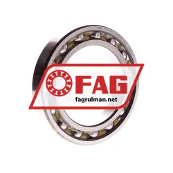 FAG 6019-2RSR