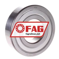 FAG 6309-2ZR