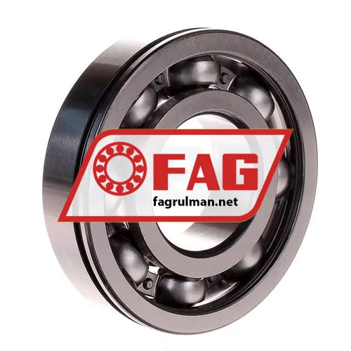 FAG 6308N