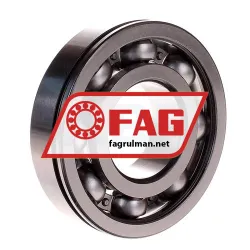 FAG 6308N