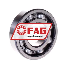 FAG 6309ZRN