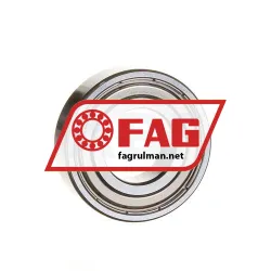 FAG 6004-2ZR-C3