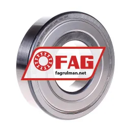 FAG 6313-Z