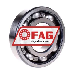 FAG 6313-Z rulman resim 2
