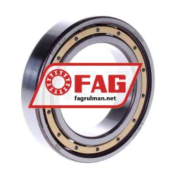 FAG 6010-M-C3