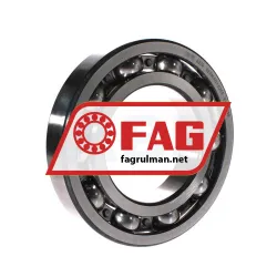 FAG 6200