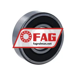 FAG 6204-C-2HRS-L207-C3