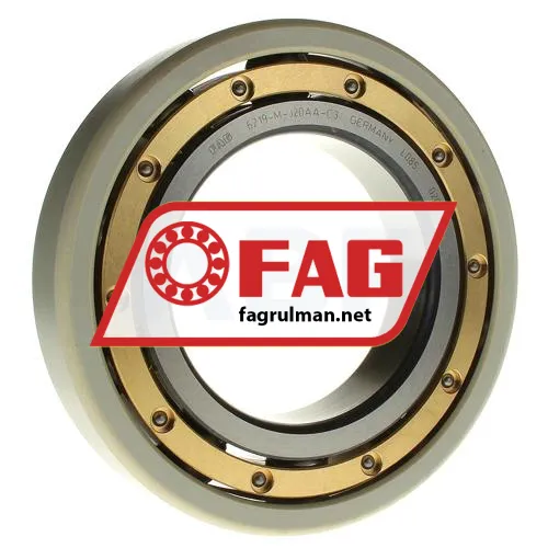 FAG 6219-M-C3-J20AA