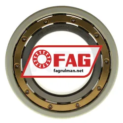 FAG 6219-M-C3-J20AA rulman resim 3