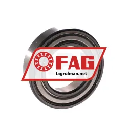 FAG 6007-C-2Z>V rulman resim 2