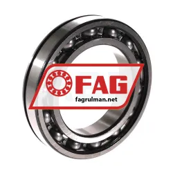 FAG 6014-N-C3