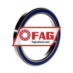 FAG 61819-2RZ-Y-L460