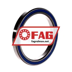 FAG 61819-2RZ-Y-L460 rulman resim 2