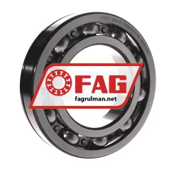 FAG 6220-N